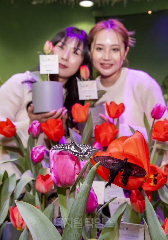 <사진제공=에버랜드>